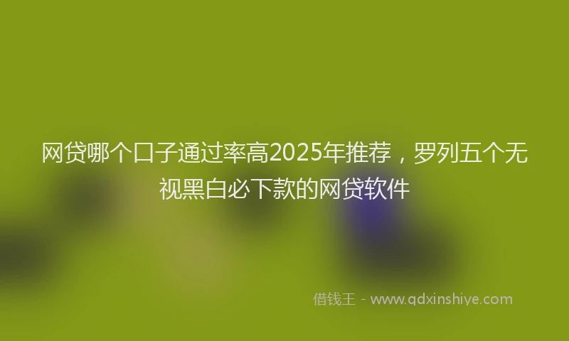 网贷哪个口子通过率高2025年推荐，罗列五个无视黑白必下款的网贷软件