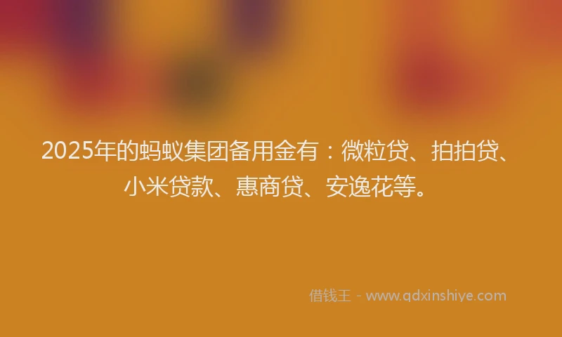 2025年的蚂蚁集团备用金有：微粒贷、拍拍贷、小米贷款、惠商贷、安逸花等。