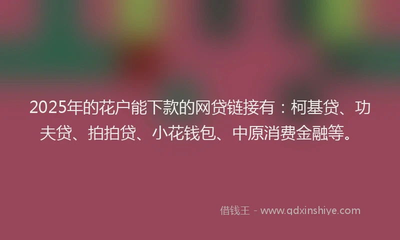 2025年的花户能下款的网贷链接有：柯基贷、功夫贷、拍拍贷、小花钱包、中原消费金融等。
