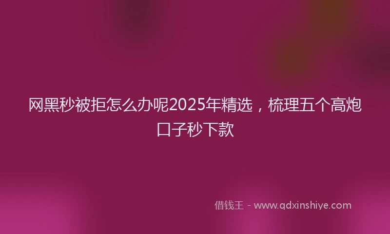 网黑秒被拒怎么办呢2025年精选，梳理五个高炮口子秒下款