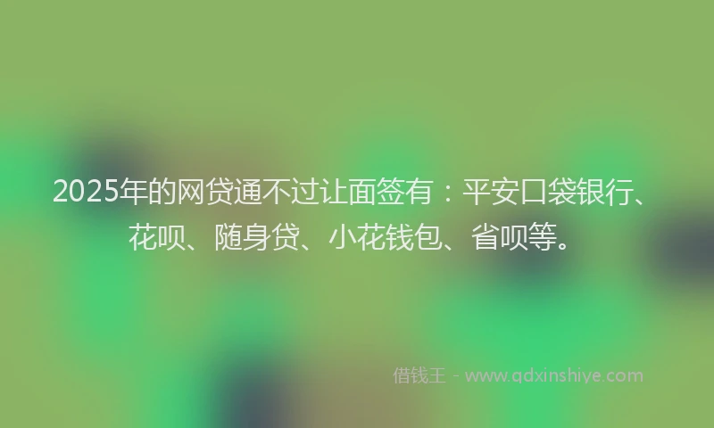 2025年的网贷通不过让面签有：平安口袋银行、花呗、随身贷、小花钱包、省呗等。