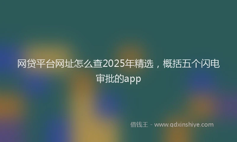 网贷平台网址怎么查2025年精选，概括五个闪电审批的app