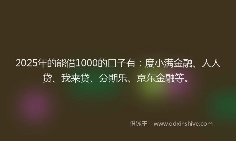 2025年的能借1000的口子有：度小满金融、人人贷、我来贷、分期乐、京东金融等。