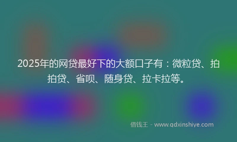 2025年的网贷最好下的大额口子有：微粒贷、拍拍贷、省呗、随身贷、拉卡拉等。