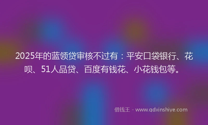 2025年的蓝领贷审核不过有：平安口袋银行、花呗、51人品贷、百度有钱花、小花钱包等。