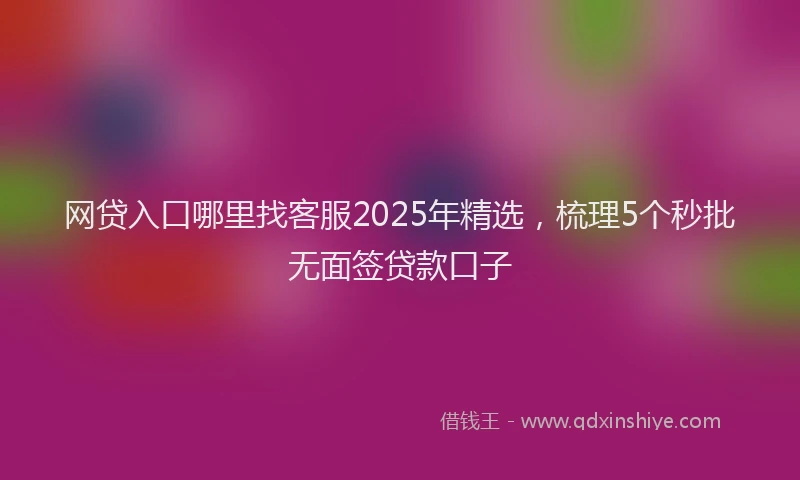 网贷入口哪里找客服2025年精选，梳理5个秒批无面签贷款口子