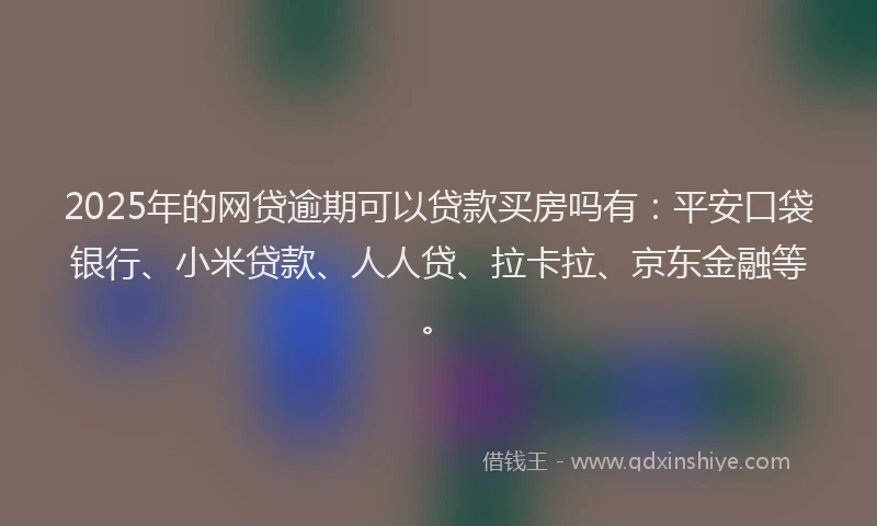 2025年的网贷逾期可以贷款买房吗有：平安口袋银行、小米贷款、人人贷、拉卡拉、京东金融等。