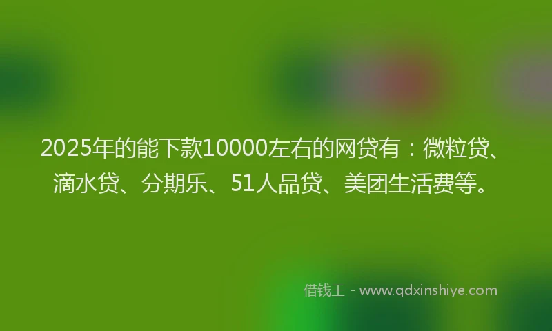 2025年的能下款10000左右的网贷有：微粒贷、滴水贷、分期乐、51人品贷、美团生活费等。