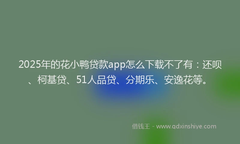 2025年的花小鸭贷款app怎么下载不了有：还呗、柯基贷、51人品贷、分期乐、安逸花等。