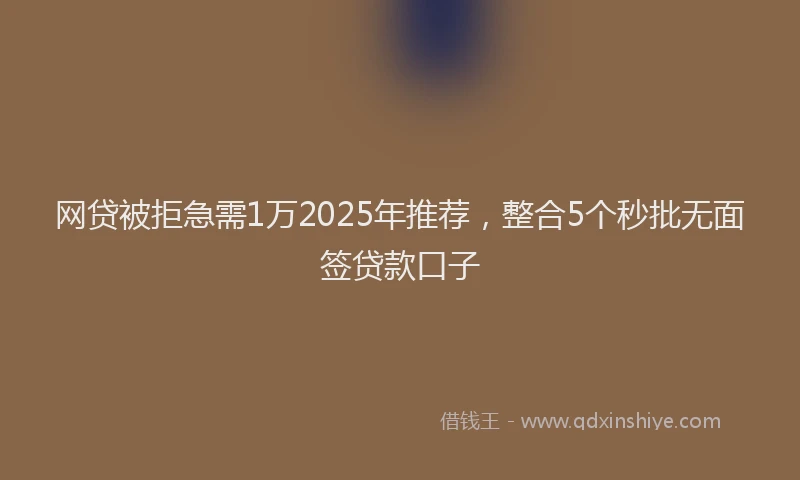 网贷被拒急需1万2025年推荐，整合5个秒批无面签贷款口子