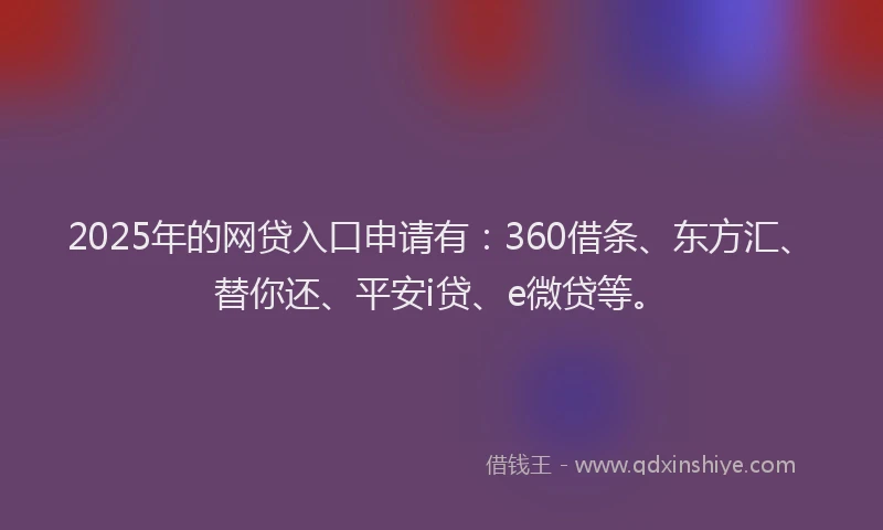 2025年的网贷入口申请有：360借条、东方汇、替你还、平安i贷、e微贷等。