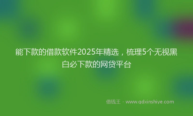 能下款的借款软件2025年精选，梳理5个无视黑白必下款的网贷平台