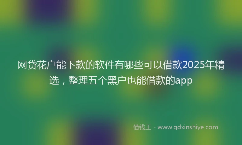 网贷花户能下款的软件有哪些可以借款2025年精选，整理五个黑户也能借款的app