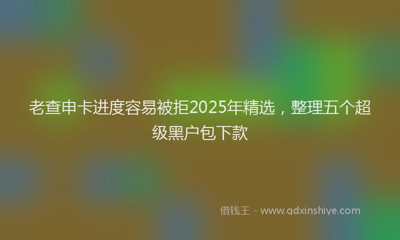 老查申卡进度容易被拒2025年精选，整理五个超级黑户包下款