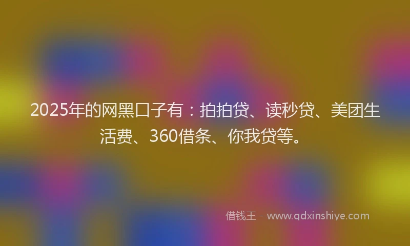 2025年的网黑口子有：拍拍贷、读秒贷、美团生活费、360借条、你我贷等。