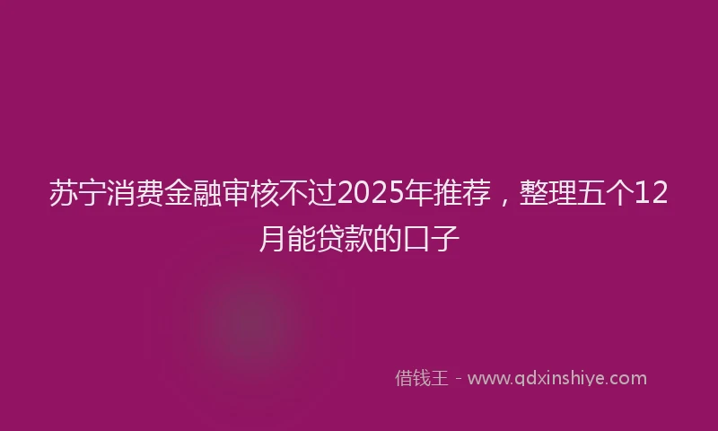 苏宁消费金融审核不过2025年推荐，整理五个12月能贷款的口子
