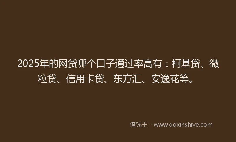 2025年的网贷哪个口子通过率高有：柯基贷、微粒贷、信用卡贷、东方汇、安逸花等。