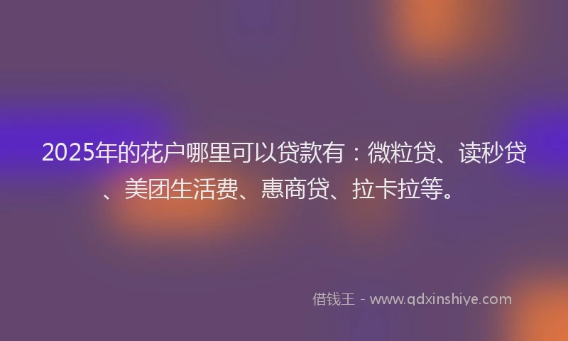 2025年的花户哪里可以贷款有：微粒贷、读秒贷、美团生活费、惠商贷、拉卡拉等。