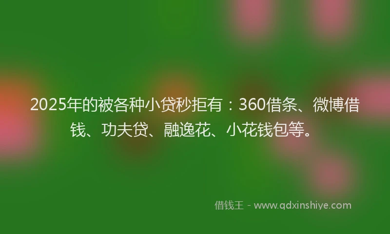 2025年的被各种小贷秒拒有：360借条、微博借钱、功夫贷、融逸花、小花钱包等。