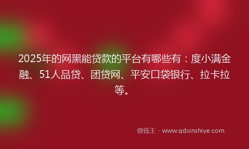 2025年的网黑能贷款的平台有哪些有：度小满金融、51人品贷、团贷网、平安口袋银行、拉卡拉等。