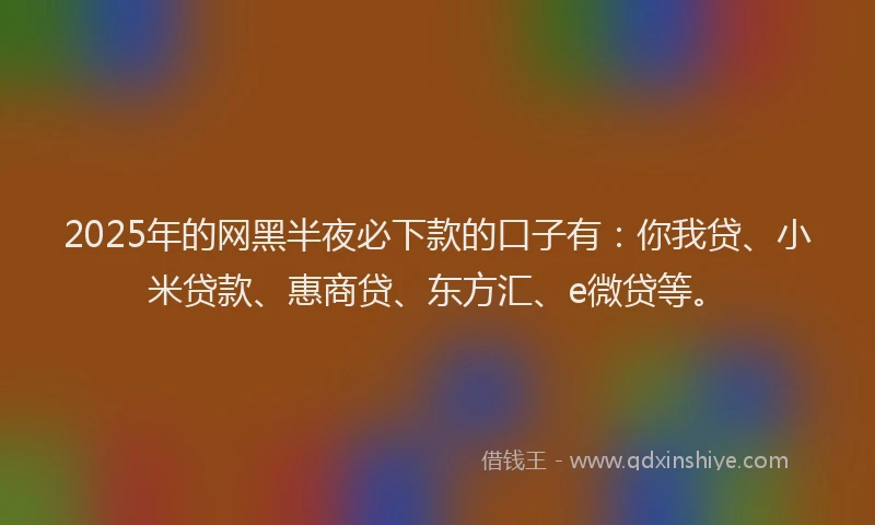 2025年的网黑半夜必下款的口子有：你我贷、小米贷款、惠商贷、东方汇、e微贷等。