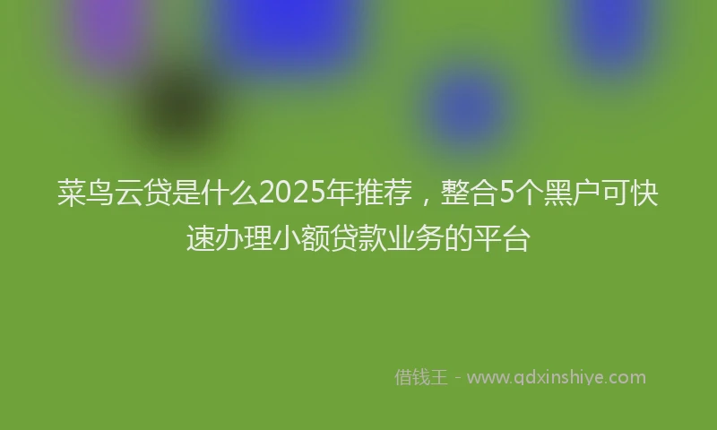 菜鸟云贷是什么2025年推荐，整合5个黑户可快速办理小额贷款业务的平台