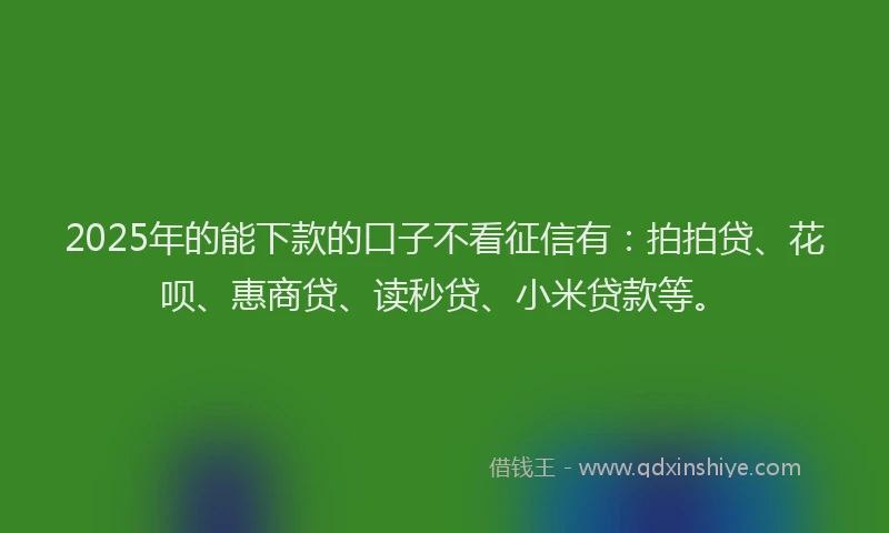 2025年的能下款的口子不看征信有：拍拍贷、花呗、惠商贷、读秒贷、小米贷款等。
