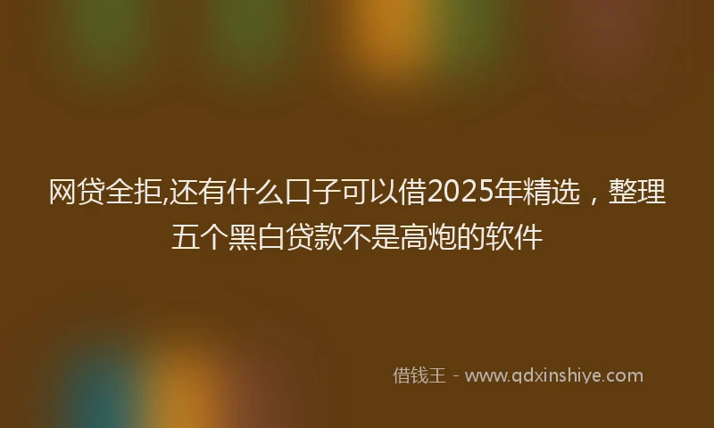 网贷全拒,还有什么口子可以借2025年精选，整理五个黑白贷款不是高炮的软件