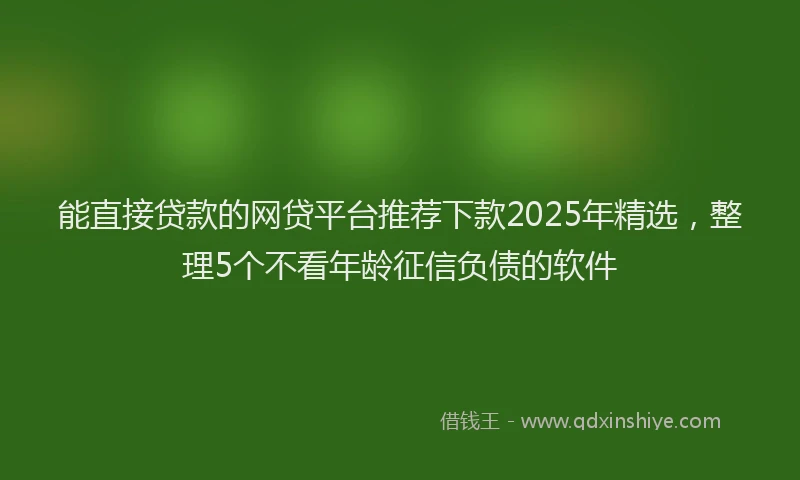 能直接贷款的网贷平台推荐下款2025年精选，整理5个不看年龄征信负债的软件