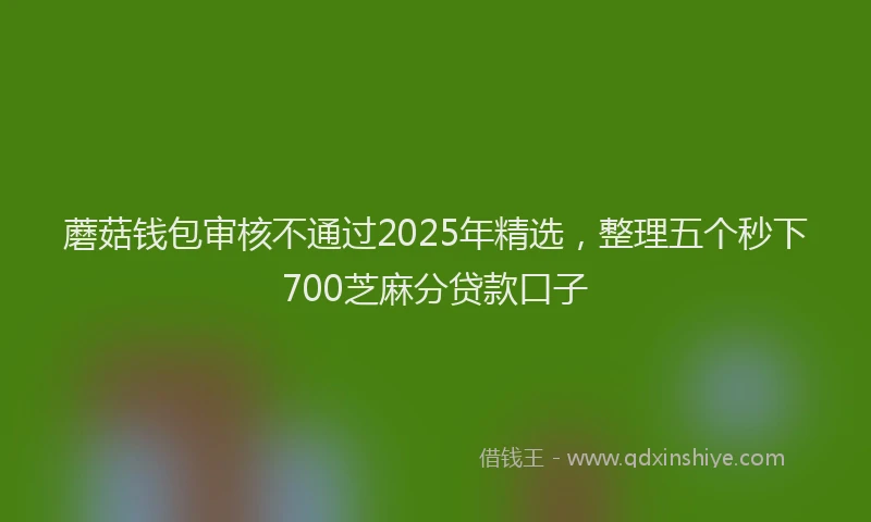 蘑菇钱包审核不通过2025年精选，整理五个秒下700芝麻分贷款口子