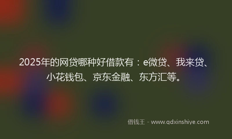 2025年的网贷哪种好借款有：e微贷、我来贷、小花钱包、京东金融、东方汇等。