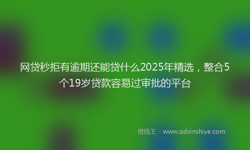 网贷秒拒有逾期还能贷什么2025年精选，整合5个19岁贷款容易过审批的平台