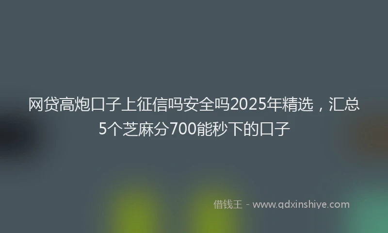 网贷高炮口子上征信吗安全吗2025年精选，汇总5个芝麻分700能秒下的口子