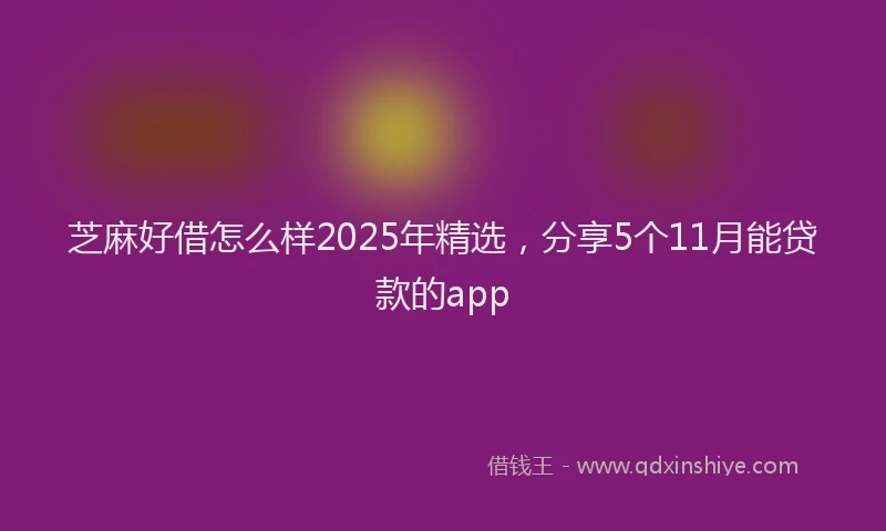 芝麻好借怎么样2025年精选，分享5个11月能贷款的app