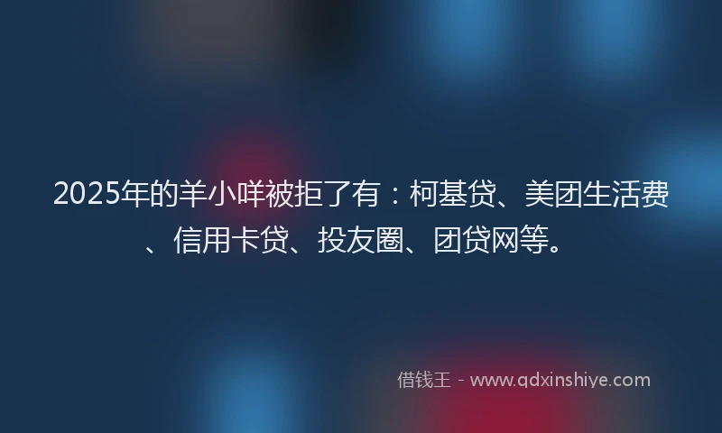 2025年的羊小咩被拒了有：柯基贷、美团生活费、信用卡贷、投友圈、团贷网等。