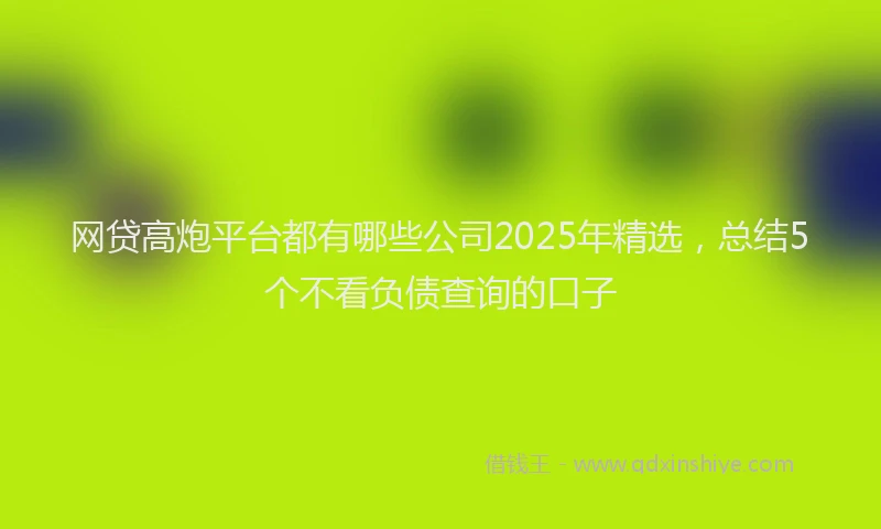 网贷高炮平台都有哪些公司2025年精选，总结5个不看负债查询的口子