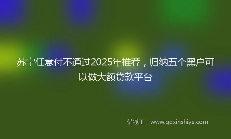 苏宁任意付不通过2025年推荐，归纳五个黑户可以做大额贷款平台