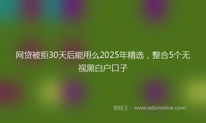 网贷被拒30天后能用么2025年精选，整合5个无视黑白户口子