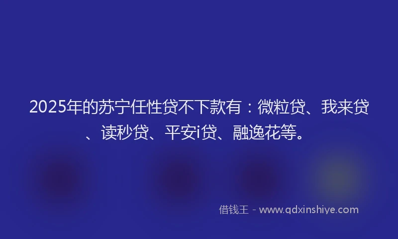 2025年的苏宁任性贷不下款有：微粒贷、我来贷、读秒贷、平安i贷、融逸花等。
