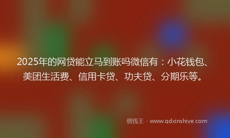2025年的网贷能立马到账吗微信有：小花钱包、美团生活费、信用卡贷、功夫贷、分期乐等。