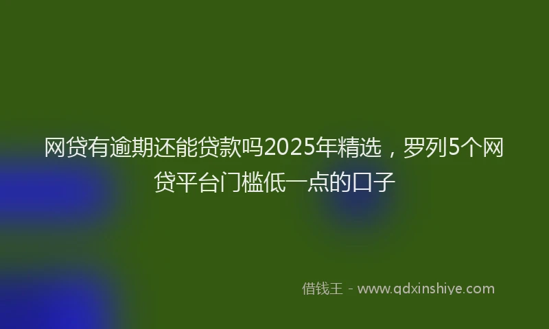 网贷有逾期还能贷款吗2025年精选，罗列5个网贷平台门槛低一点的口子