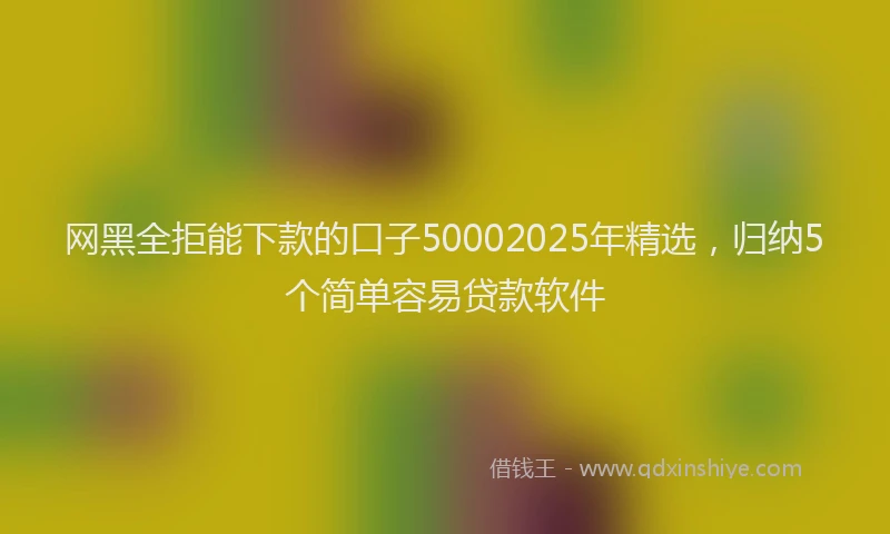 网黑全拒能下款的口子50002025年精选，归纳5个简单容易贷款软件