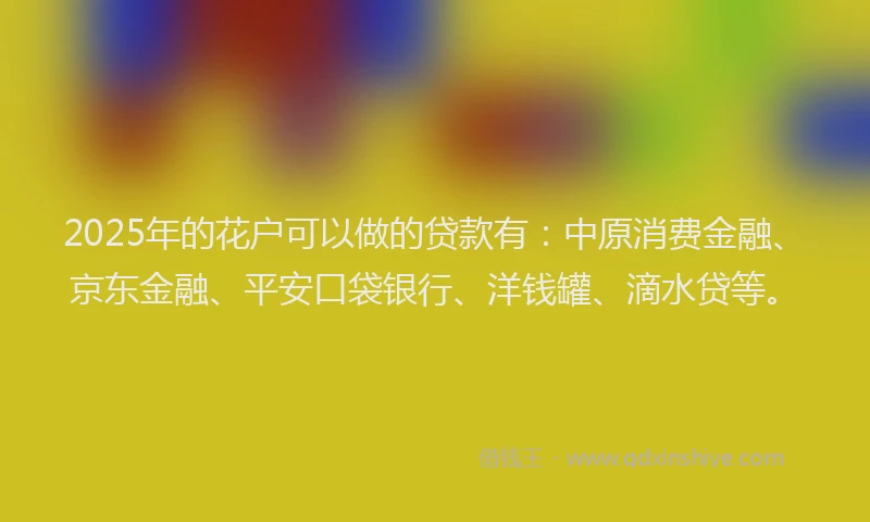 2025年的花户可以做的贷款有：中原消费金融、京东金融、平安口袋银行、洋钱罐、滴水贷等。
