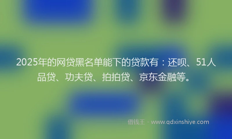 2025年的网贷黑名单能下的贷款有：还呗、51人品贷、功夫贷、拍拍贷、京东金融等。