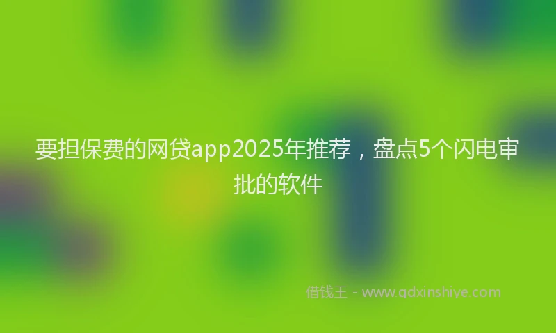 要担保费的网贷app2025年推荐，盘点5个闪电审批的软件
