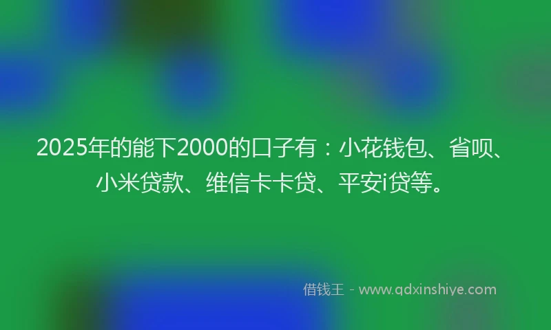 2025年的能下2000的口子有：小花钱包、省呗、小米贷款、维信卡卡贷、平安i贷等。