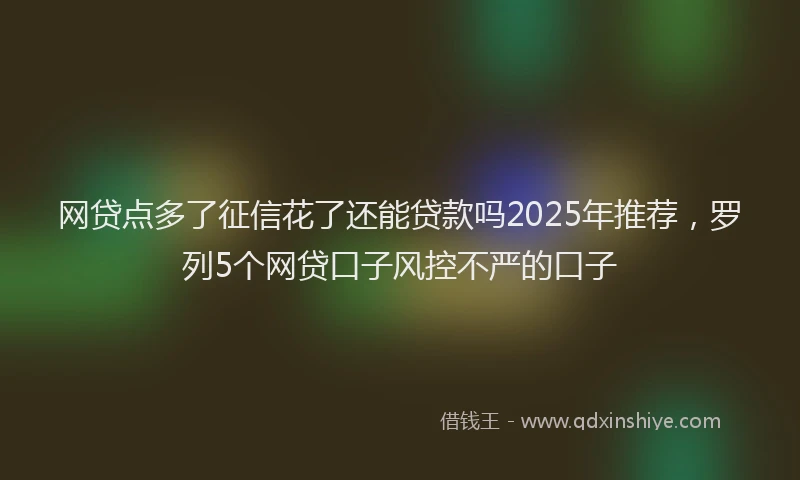 网贷点多了征信花了还能贷款吗2025年推荐，罗列5个网贷口子风控不严的口子