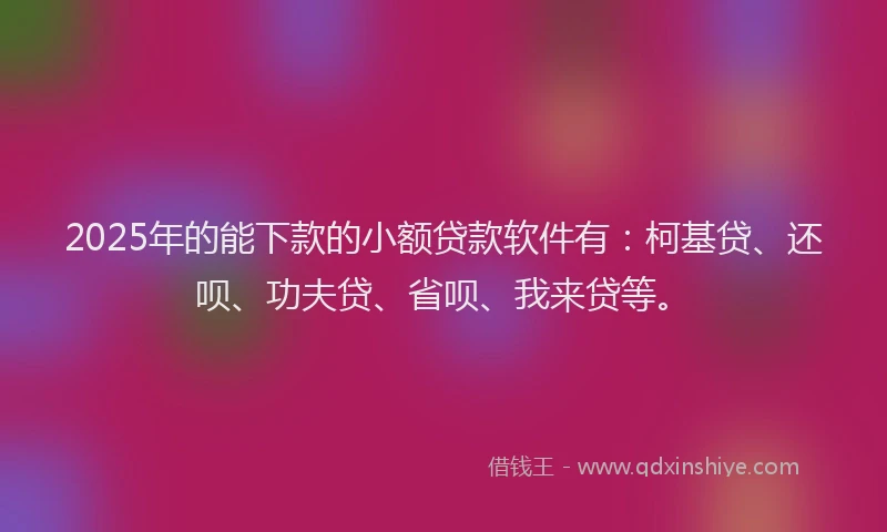 2025年的能下款的小额贷款软件有：柯基贷、还呗、功夫贷、省呗、我来贷等。