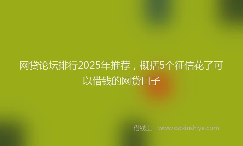 网贷论坛排行2025年推荐，概括5个征信花了可以借钱的网贷口子