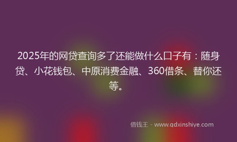 2025年的网贷查询多了还能做什么口子有：随身贷、小花钱包、中原消费金融、360借条、替你还等。